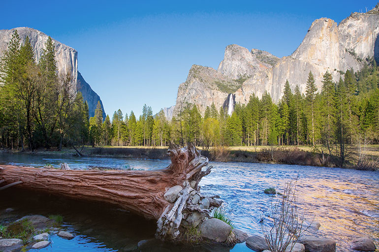 Yosemite Merced River el Capitan and Half Dome in California National Parks US