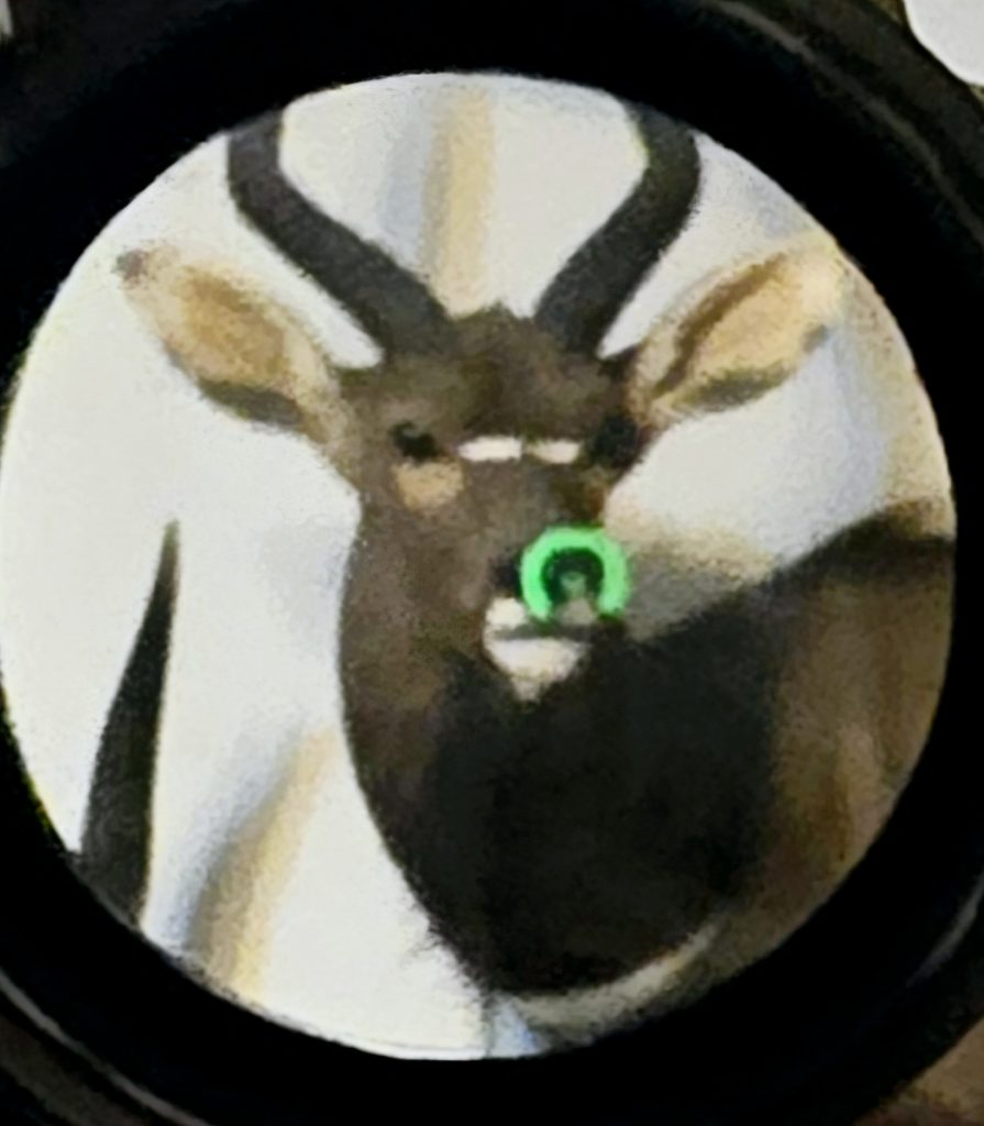 Primary Arms SLx 1X MicroPrism with green illuminated ACSS Cyclops reticle, Gen II