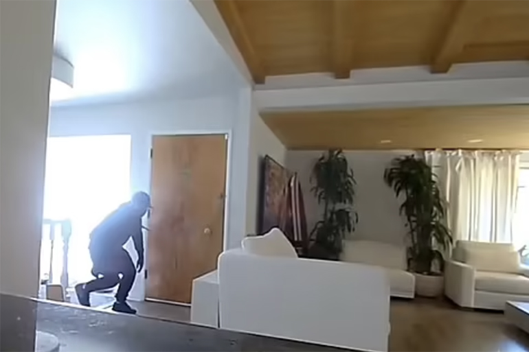 Los Angeles security video burglary