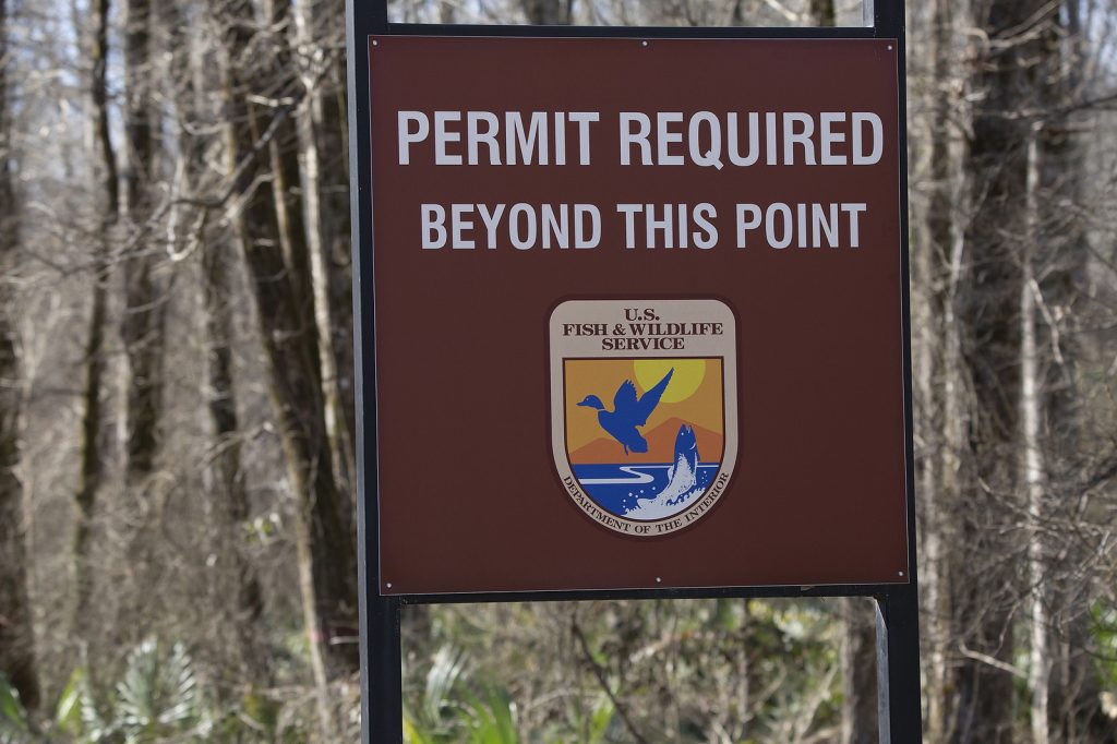 Tensas River National Wildlife Refuge, Louisiana/usa - February