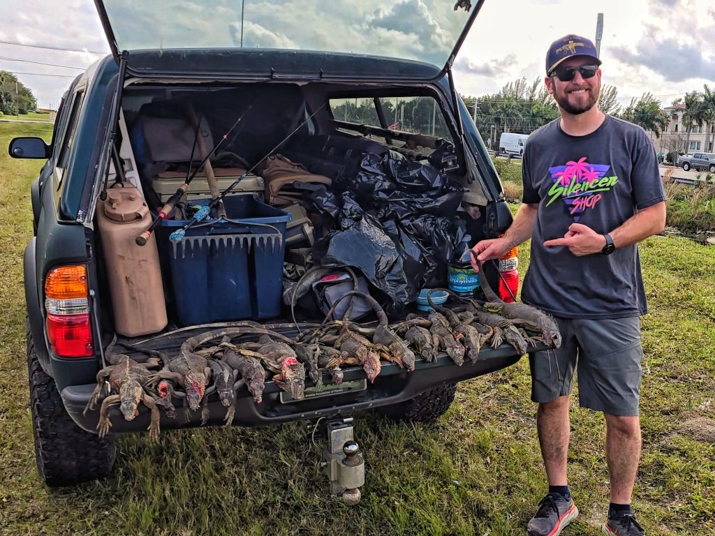 Florida iguana hunt