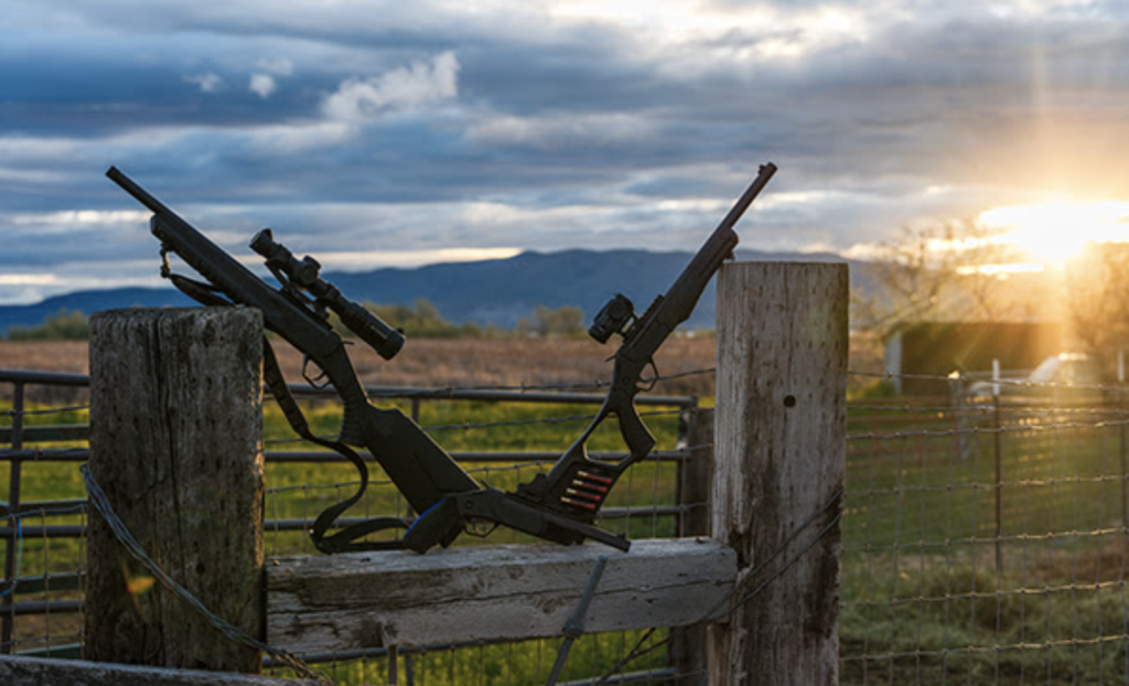 Rossi LWC lightweight carbine rifle 