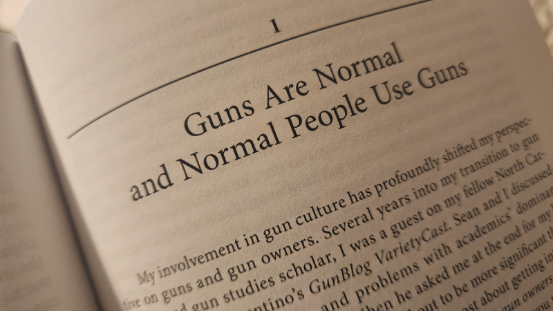 chapter one of gun curious
