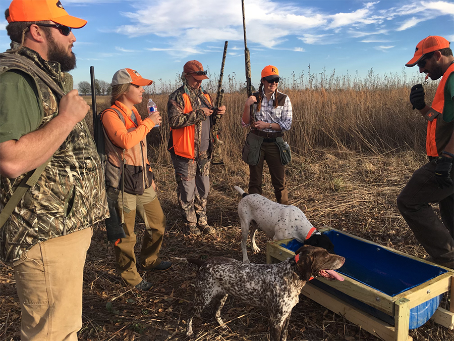 pheasant bird upland hunt hunter hunting