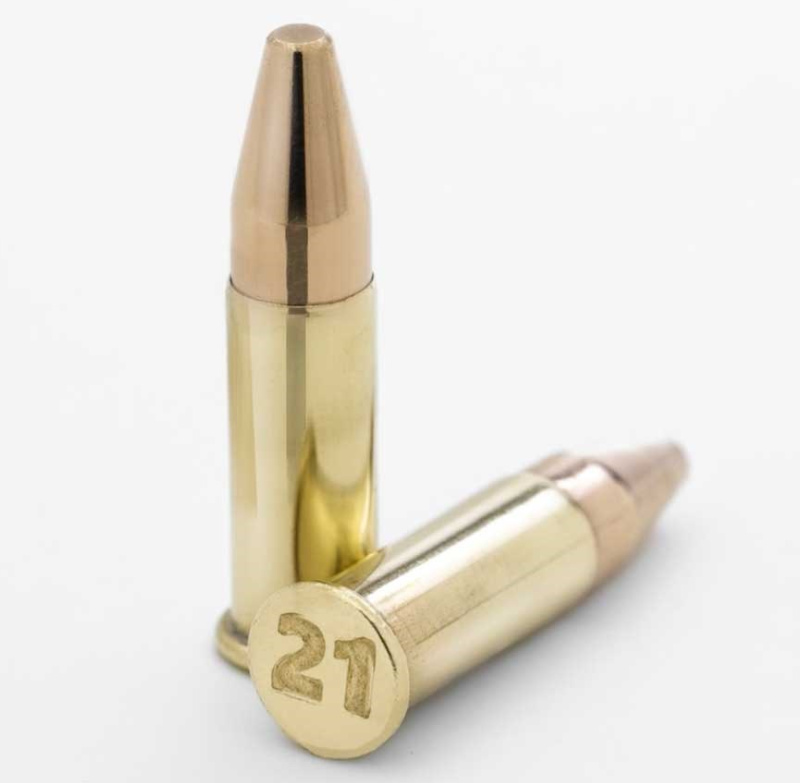 new rimfire caliber cartridge bullet 21 Sharp