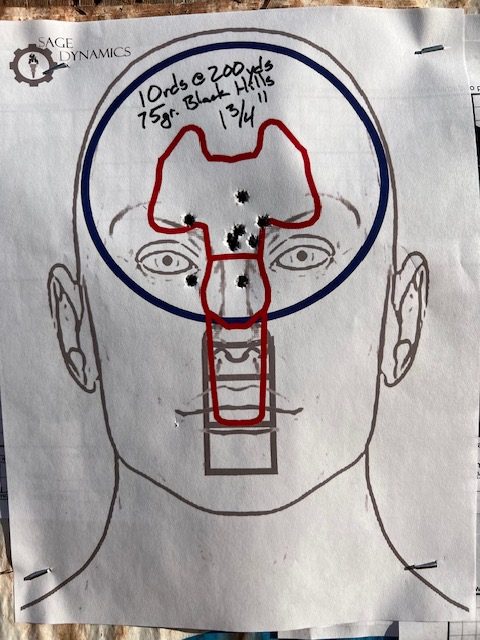 X2 Dev Group AR-X LightFighter AR Platform Rifle
