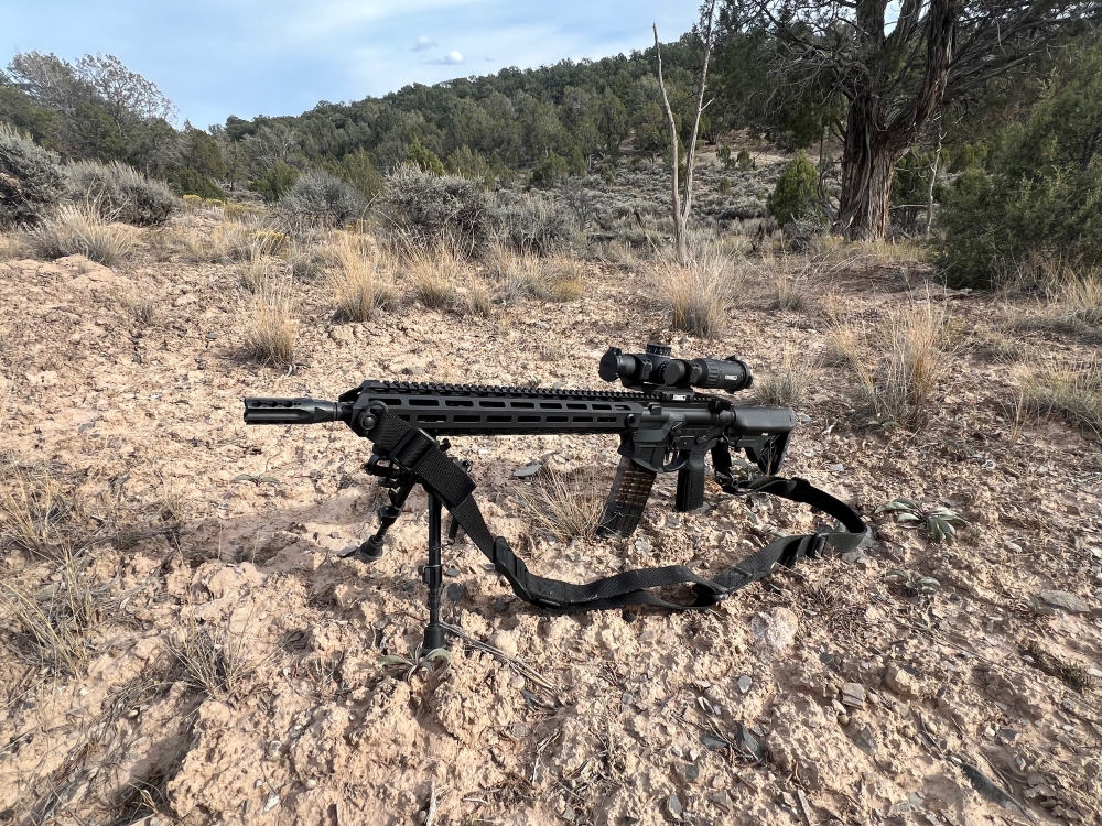 X2 Dev Group AR-X LightFighter AR Platform Rifle