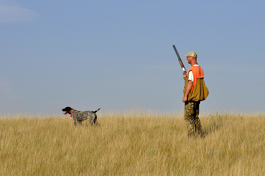 upland bird hunter