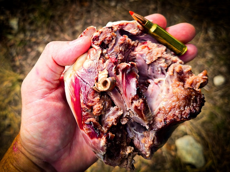 new 25KPC cartridge .257 caliber quarter bore semi-automatic AR-15