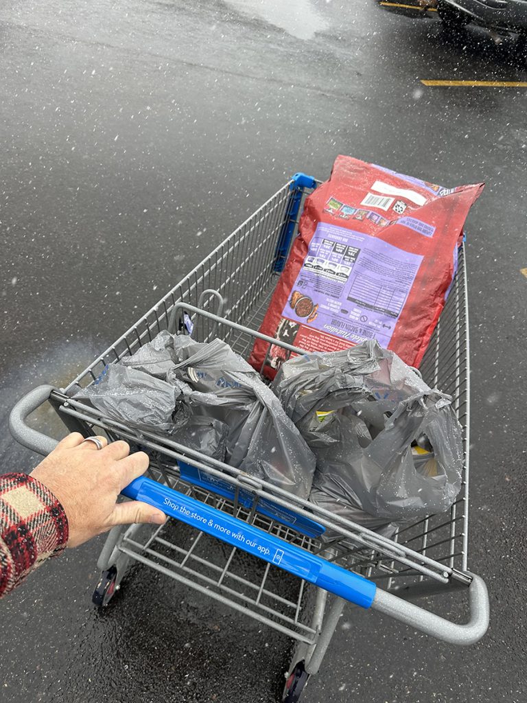 shopping cart