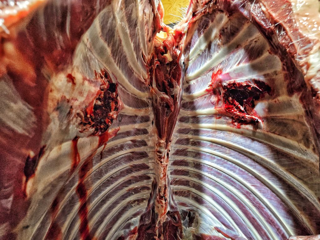 SIG SAUER CROSS SAWTOOTH hunting precision rifle 