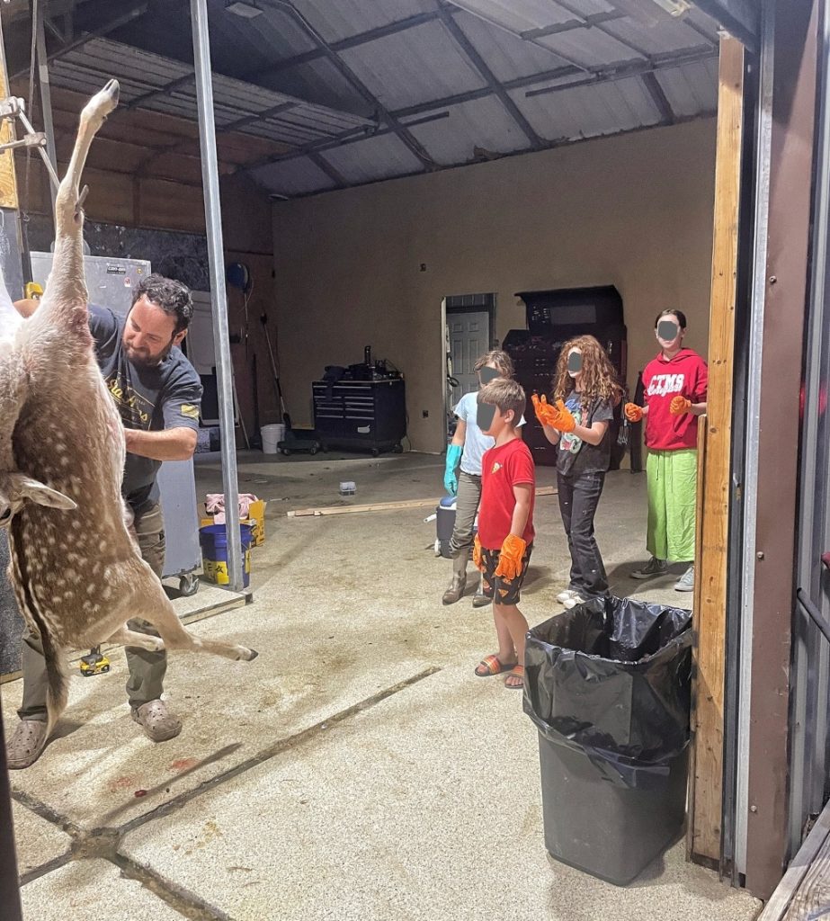 SIG SAUER CROSS SAWTOOTH hunting precision rifle 