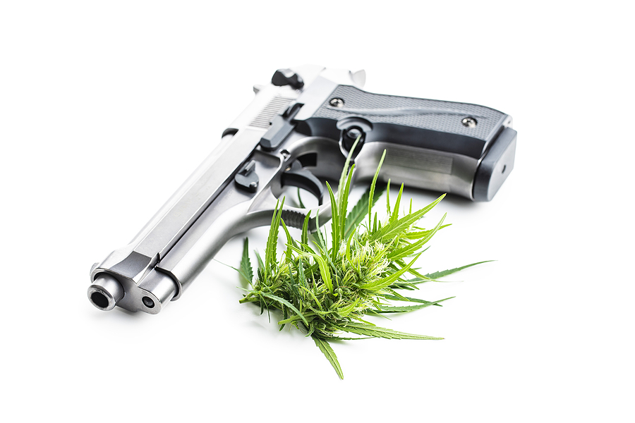 marijuana weed gun guns ATF federal law