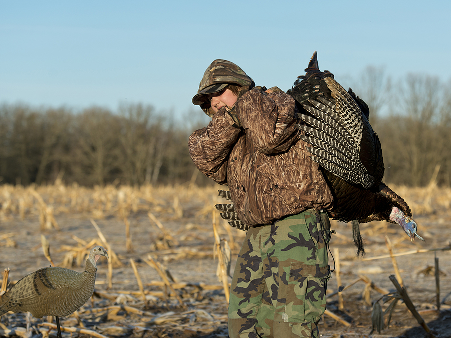 Turkey Hunting Hunter