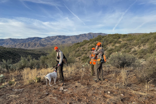 desert quail hunting