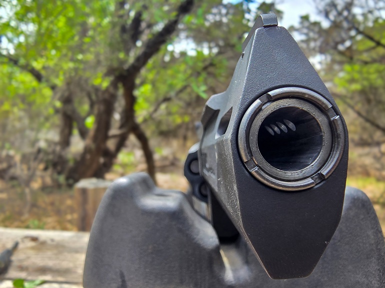 Taurus Raging Hunter revolver 454 Casull