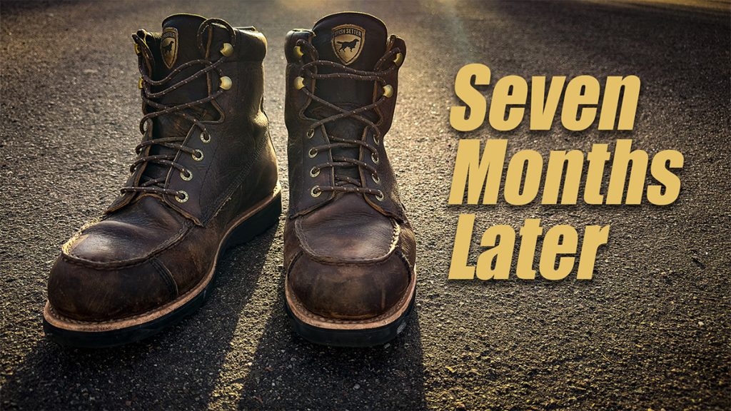 Irish Setter wingshooter boots