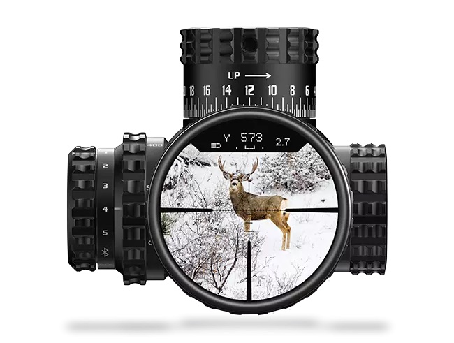 Burris Optics