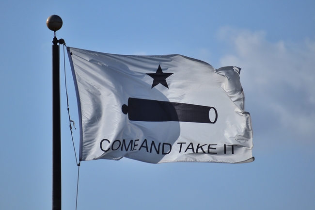gonzales flag