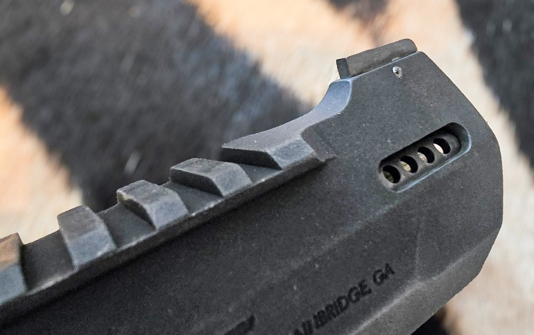 Taurus Raging Hunter revolver 454 Casull porting