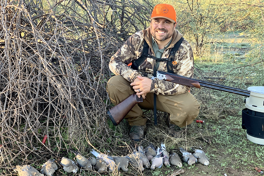dove hunting