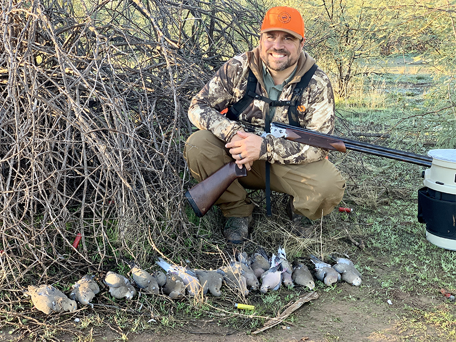 dove hunting