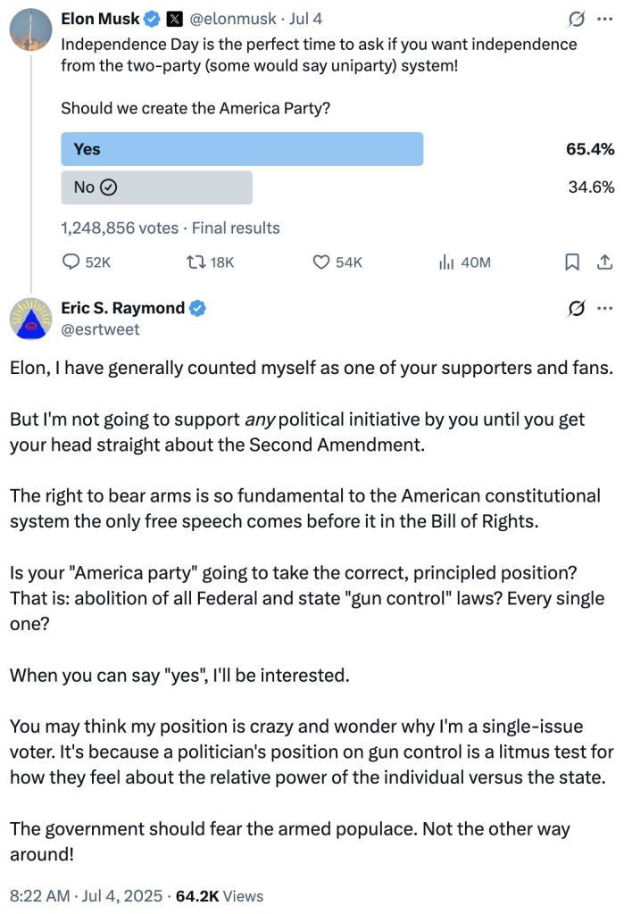 Elon Musk America Party Second Amendment