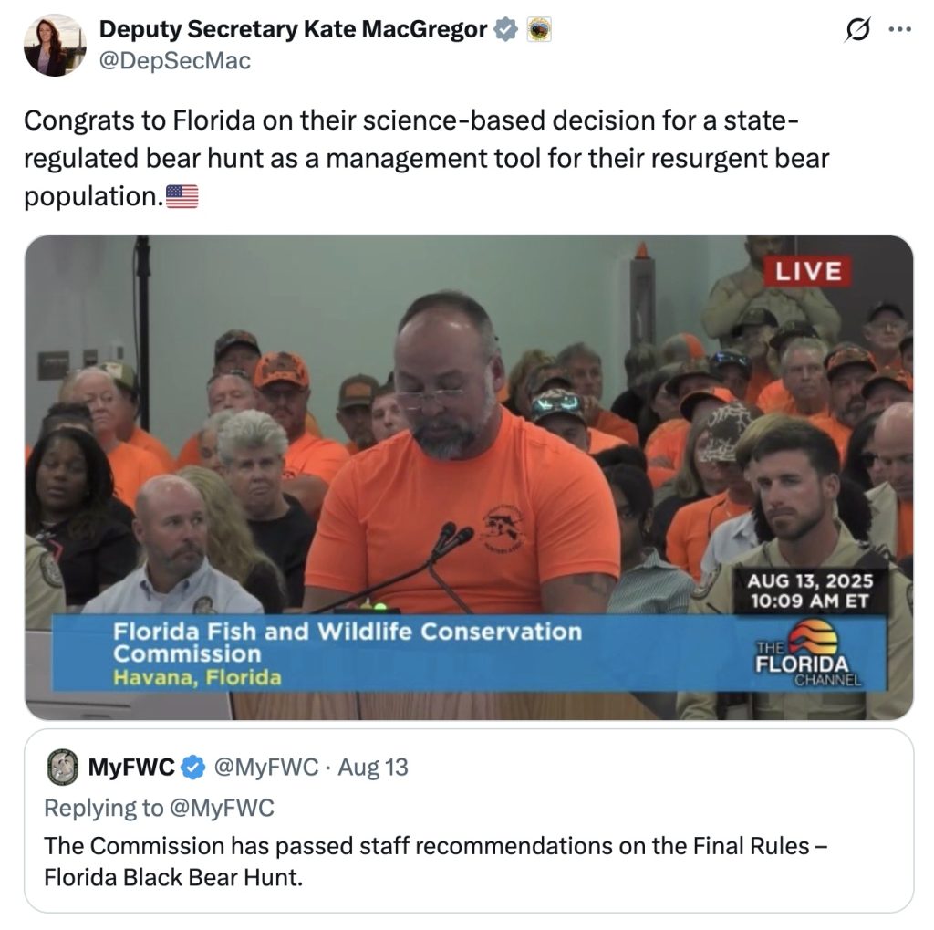 florida bear hunt tweet