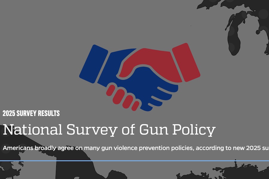 National Survey of Gun Policy