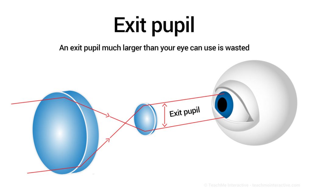 Diagram of exit pupil. 