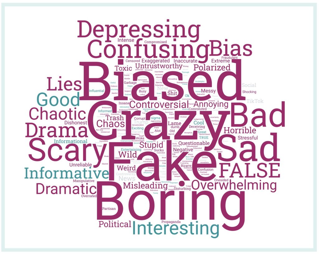 teens media word cloud newslit.org